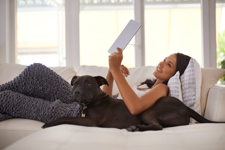 אישה צעירה נרגעת על הספה עם כלבה ומשתמשת בטאבלט דיגיטלי