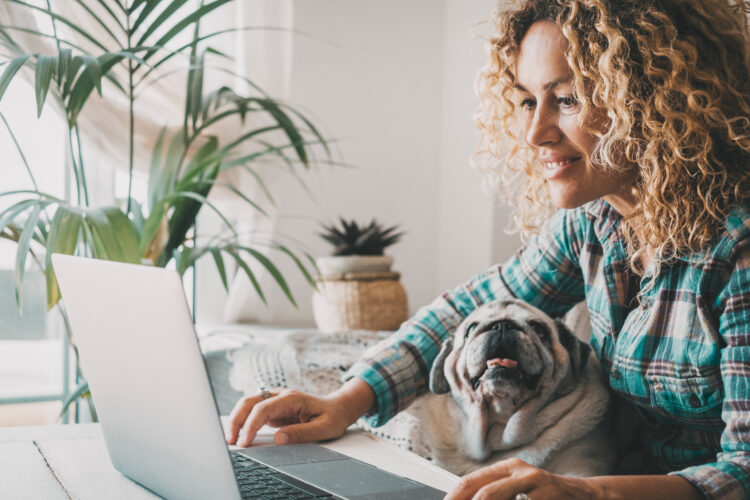 People working on computer with dog on the legs. 