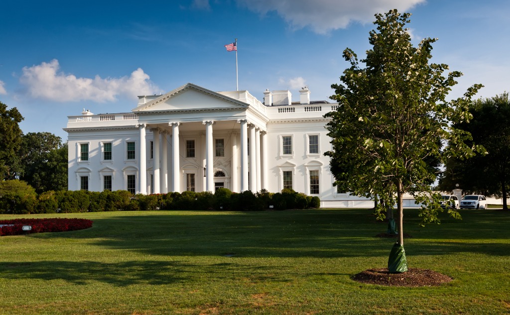 White House's Internet Speed: How Fast? (+ Statistics)