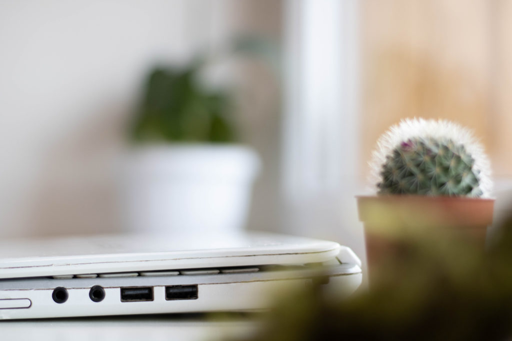 white laptop on top of desk with cactus plants