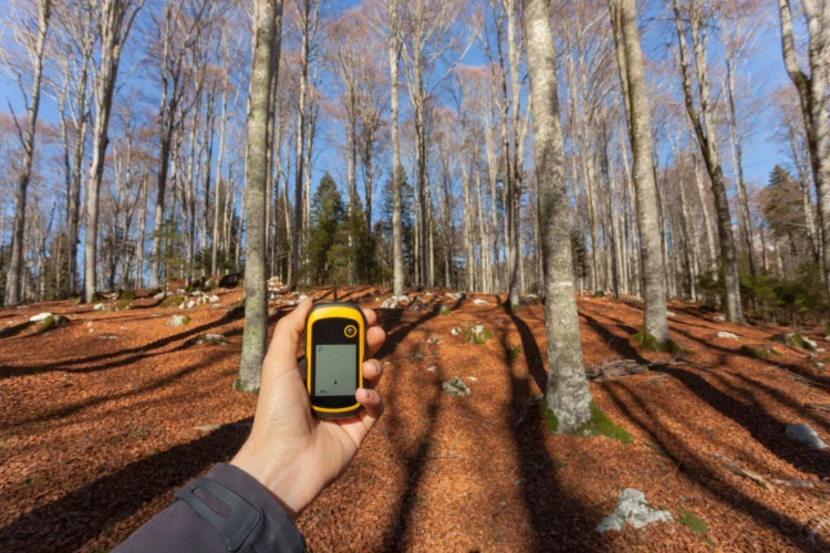 Man finding the right position in the forest via gps