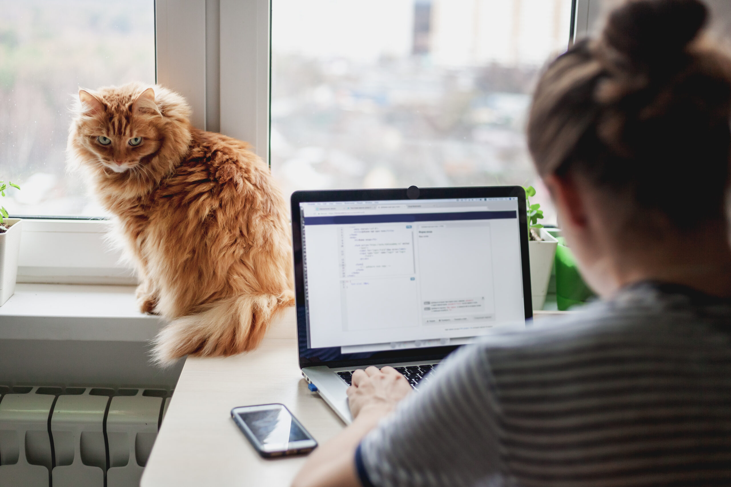 young woman sitting at desk in bedroom working on laptop, cat sitting next to the laptop