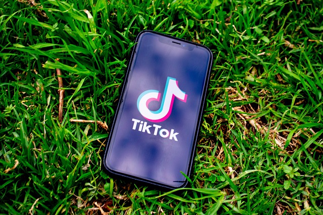 Phone in the grass displaying TikTok