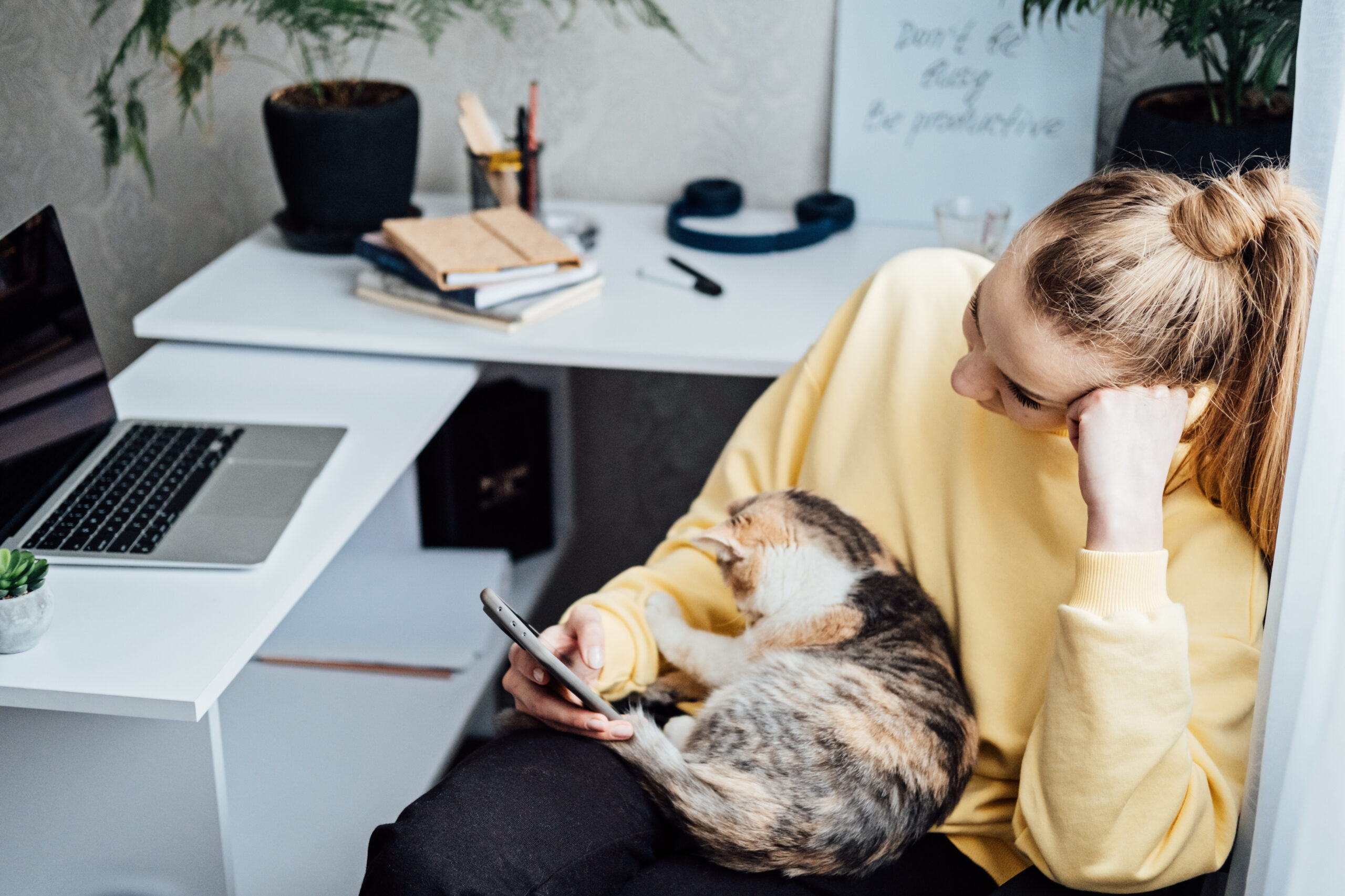 Woman freelance or procrastinate at workplace at home office. Self-employed businesswoman with cat distracted from work on laptop scrolling social media on smartphone.