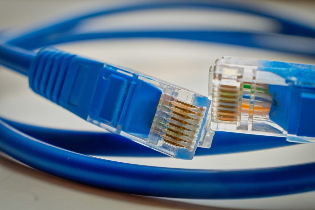 Two blue network RJ45 plugs close-up.