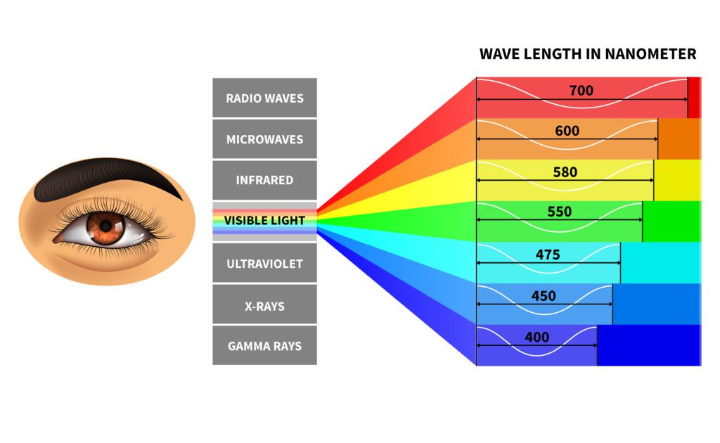 Visible light spectrum. Color waves length perceived by human eye. Rainbow electromagnetic waves. Educational school physics diagram