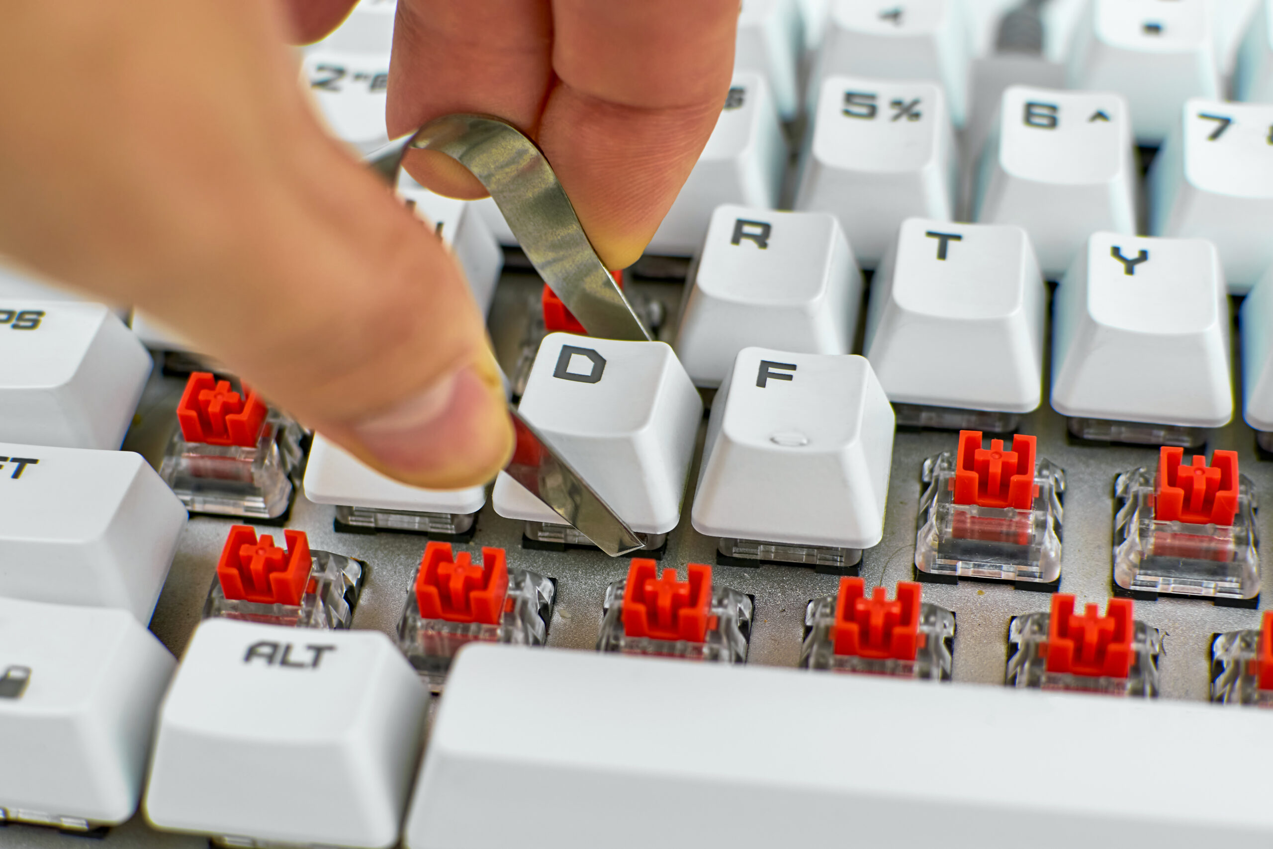 Person cleans a computer keyboard. Cleaning of computer equipmen