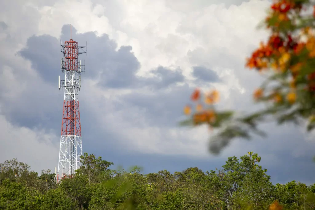 Telephone network pole background rain cloud tree orange flower foreground