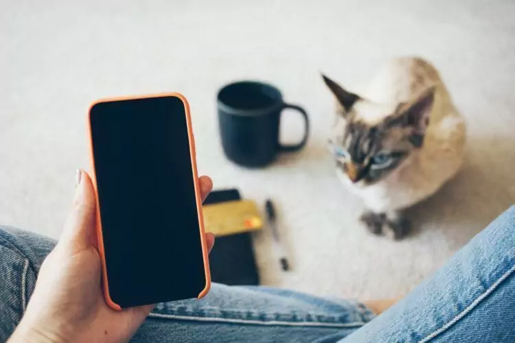 woman holding a cell phone sitting at home, a pet cat on the floor