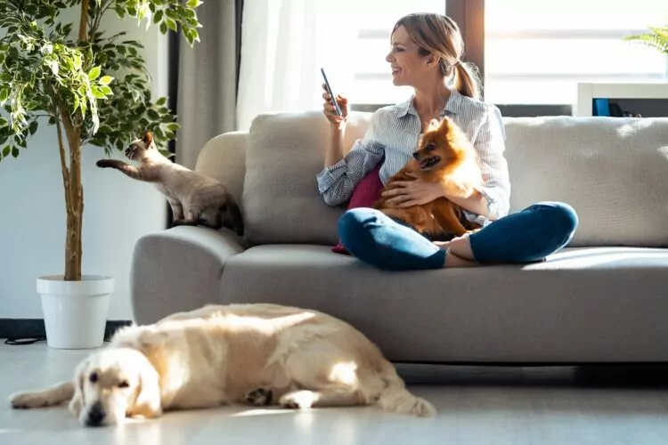 Pretty young woman taking a photo with mobile phone while sitting on the sofa, a dog laying on the floor and the woman's lap
